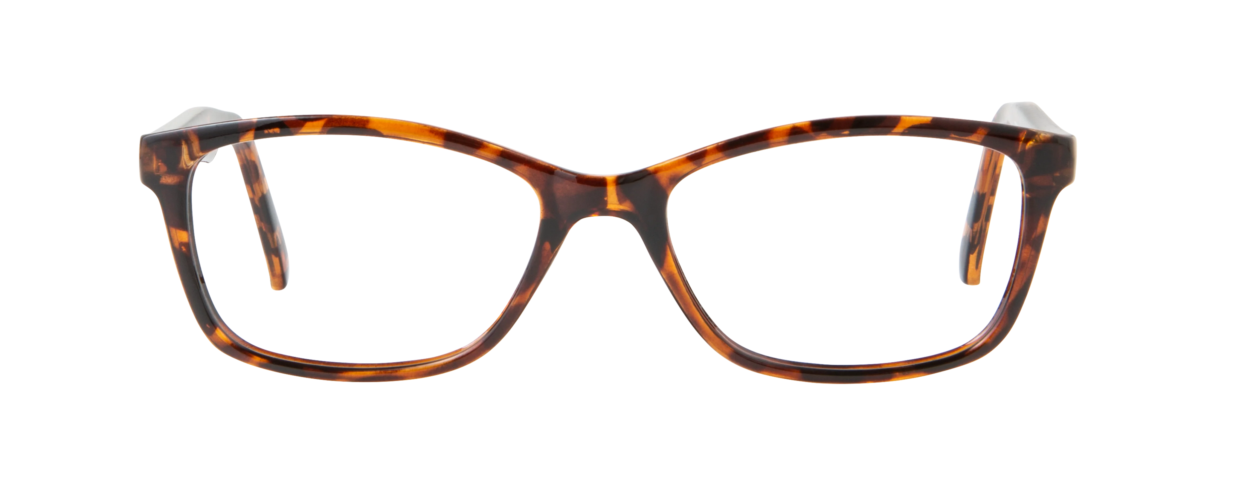 ECV BARBARA - Image 3