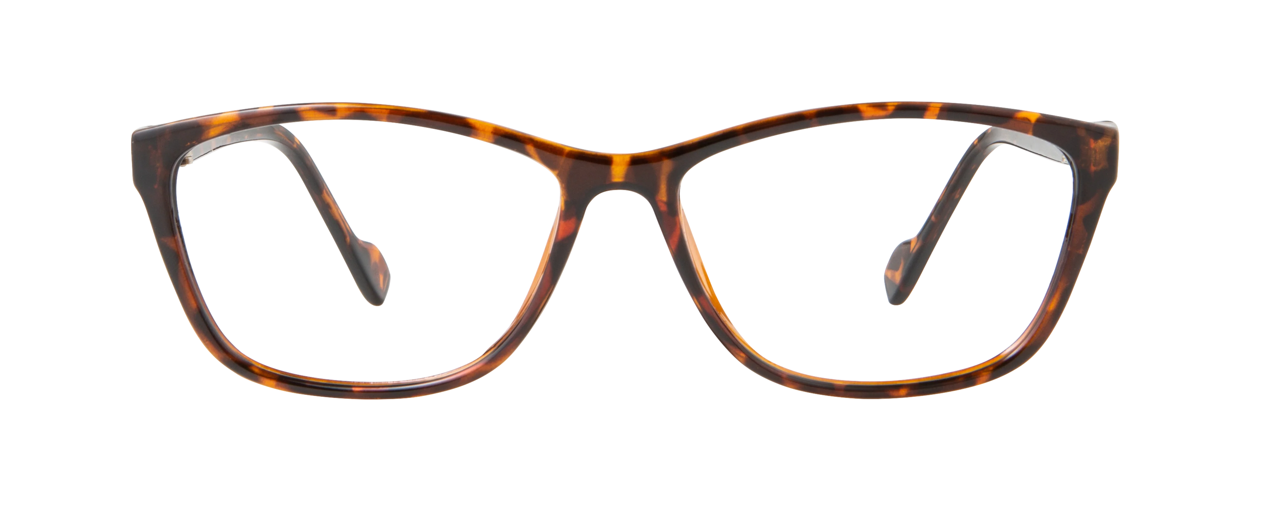 ECV BRENDA - Image 3
