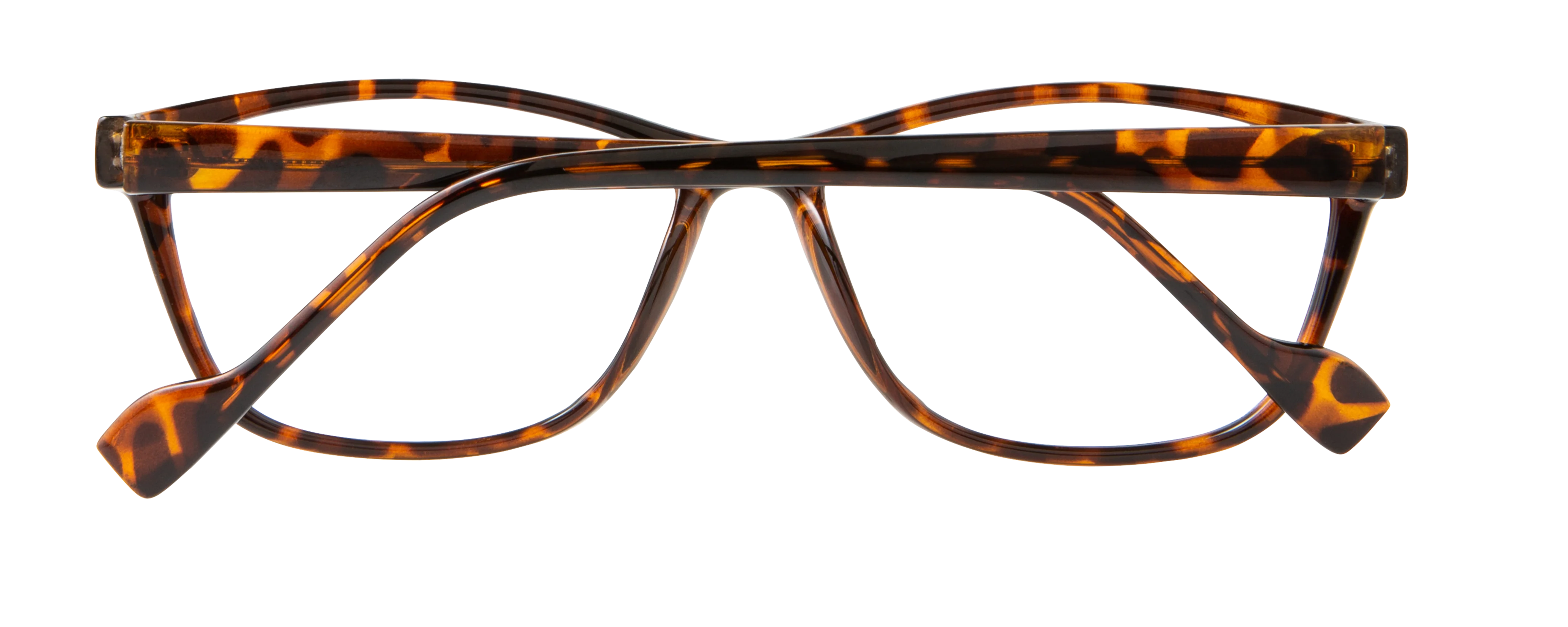 ECV BRENDA - Image 4
