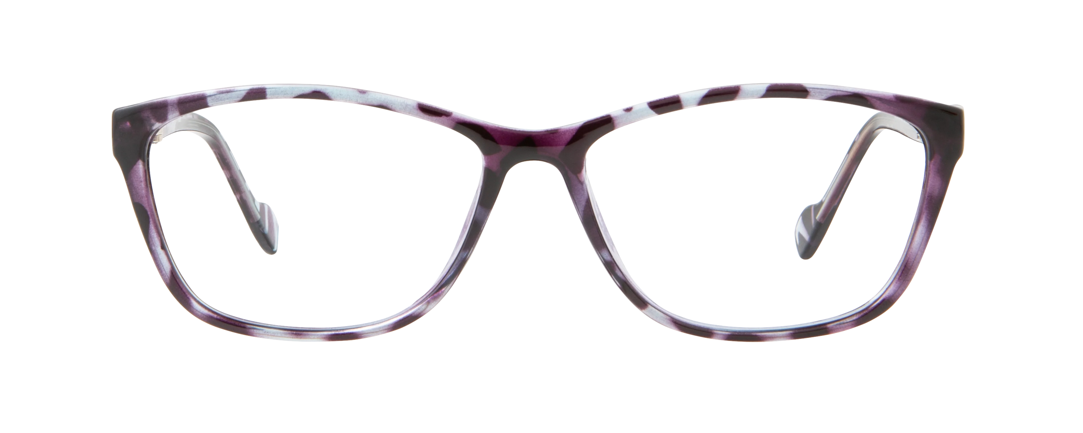 ECV BRENDA - Image 7