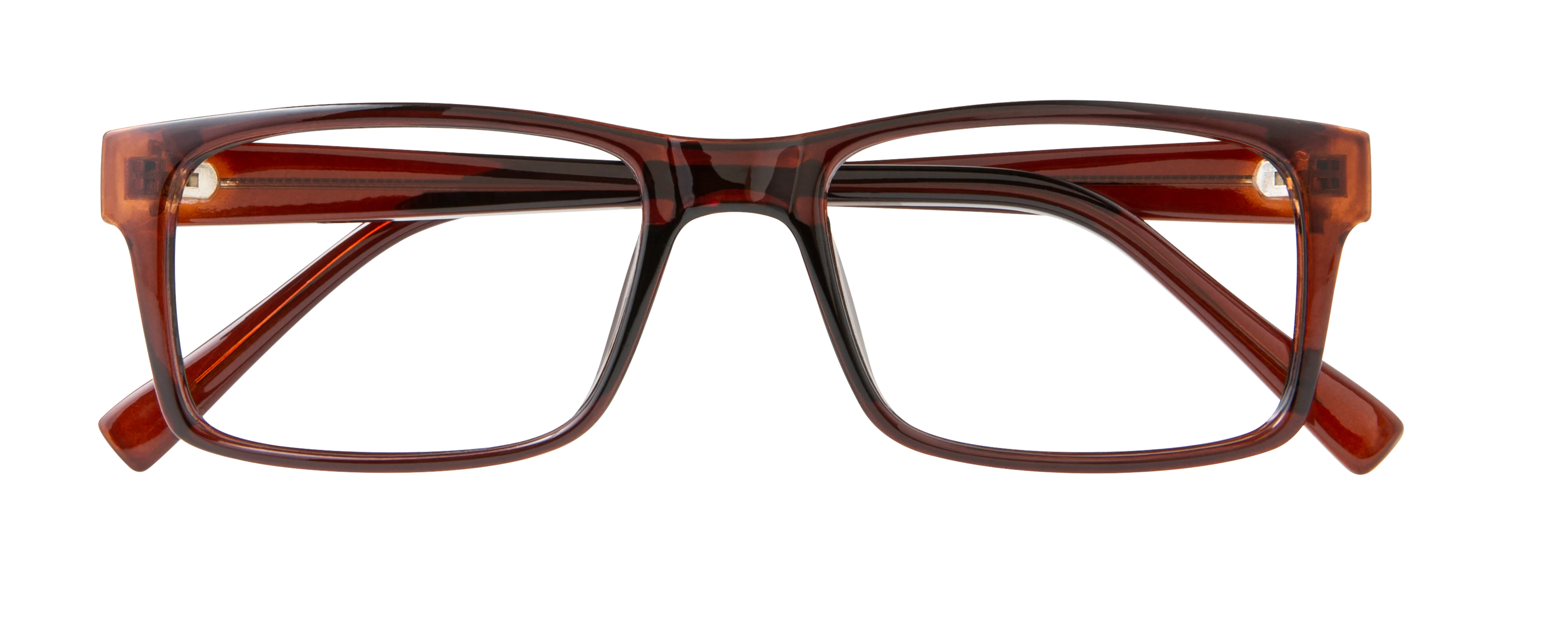 ECV DAMIEN - Image 5