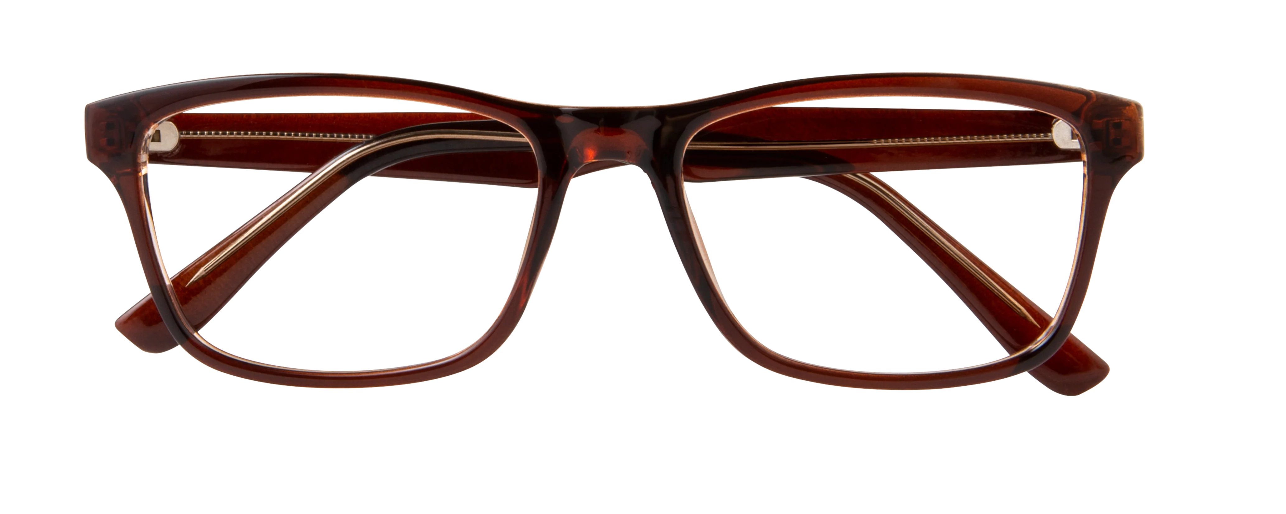 ECV LUCAS - Image 5