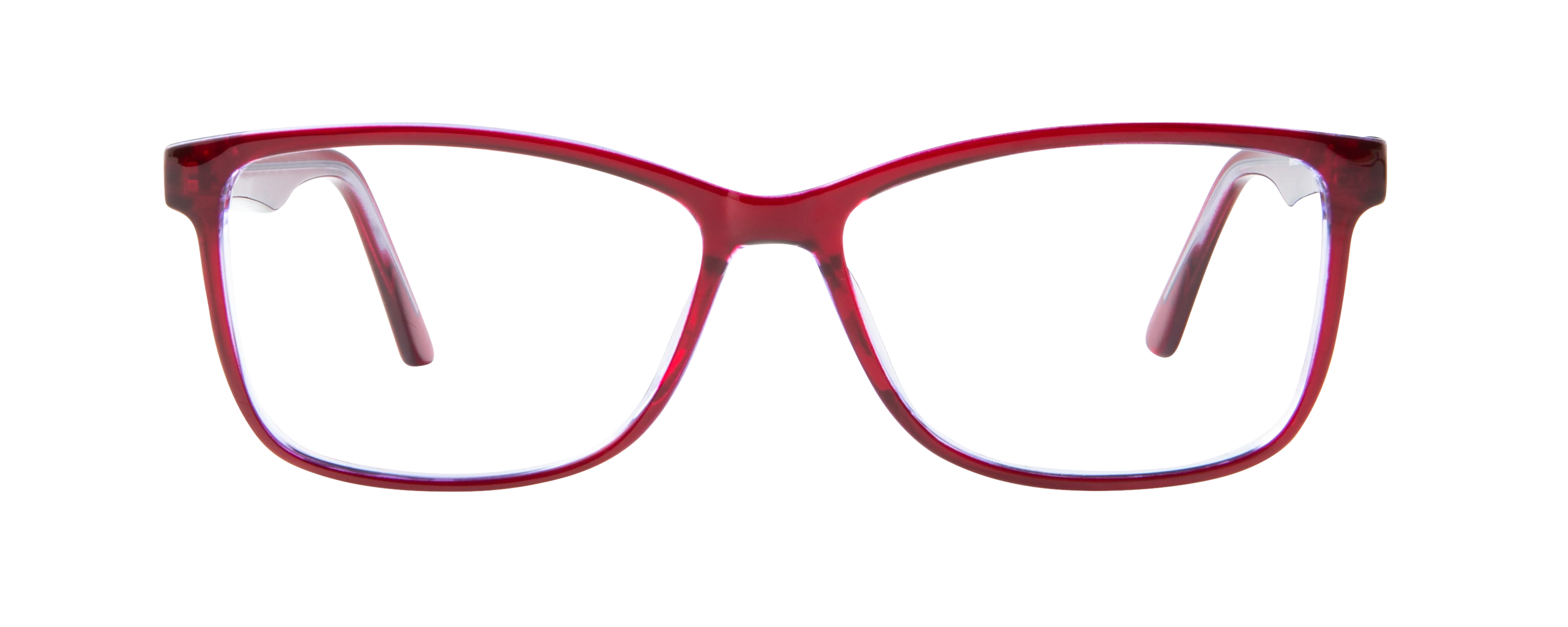 ECV MARGO - Image 3