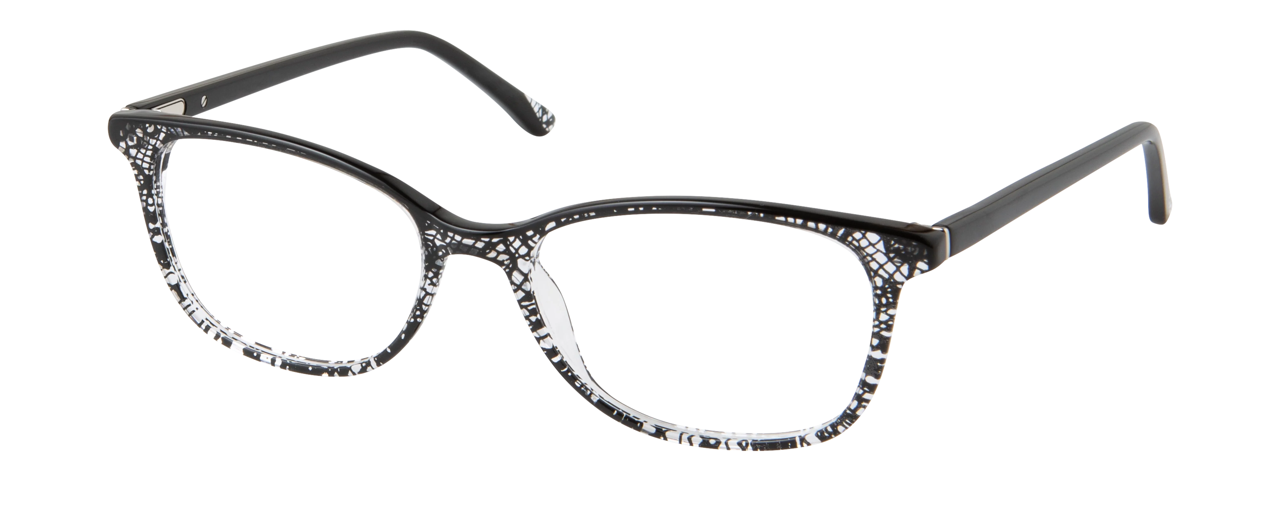 QUILL LORY - Image 6