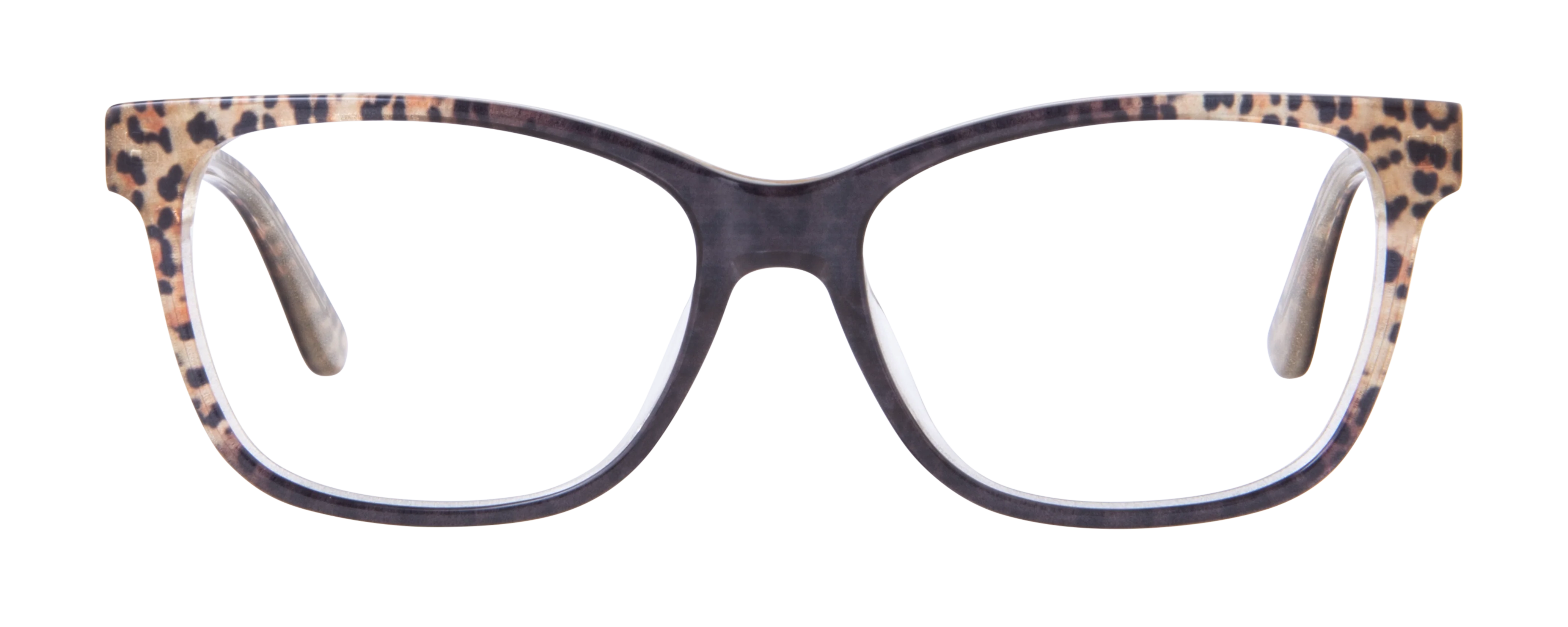 RCE 305 - Image 3