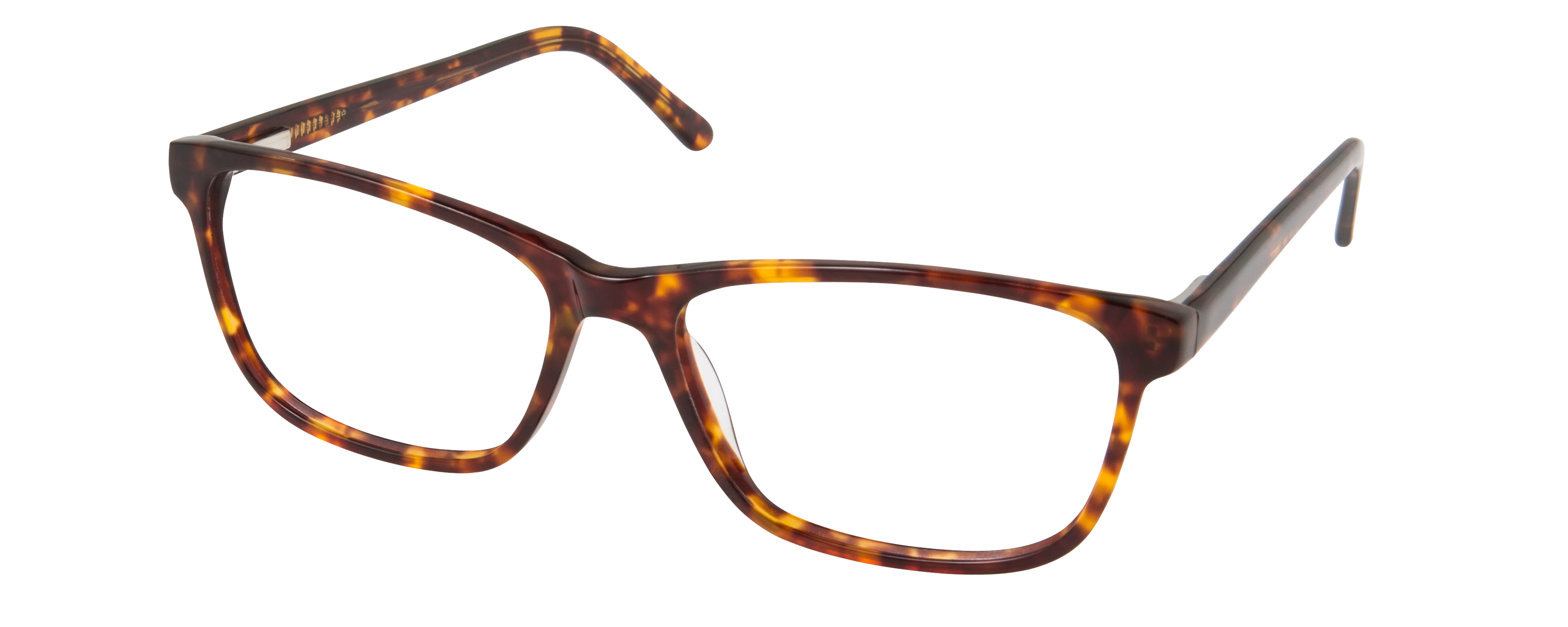 SPL CORA - Image 6