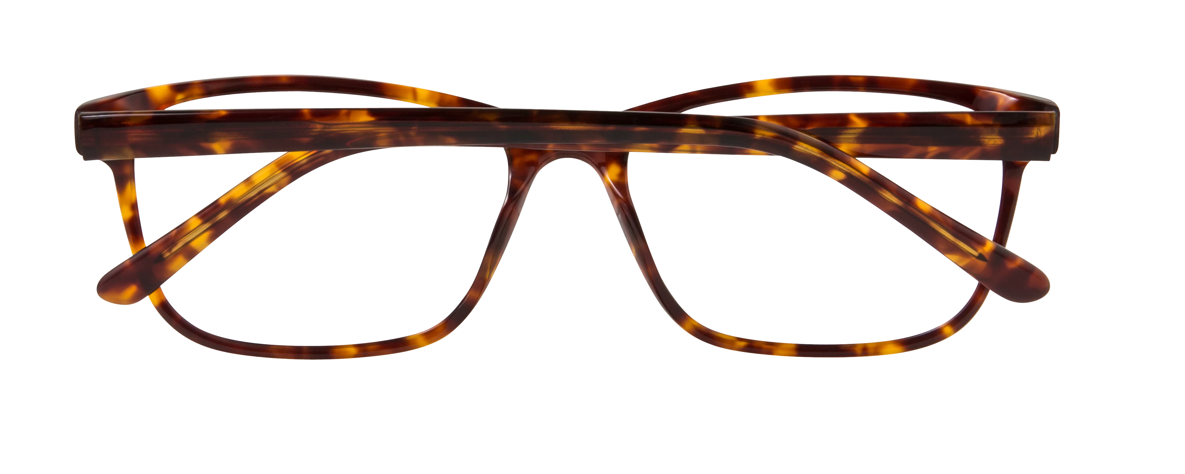 SPL CORA - Image 8
