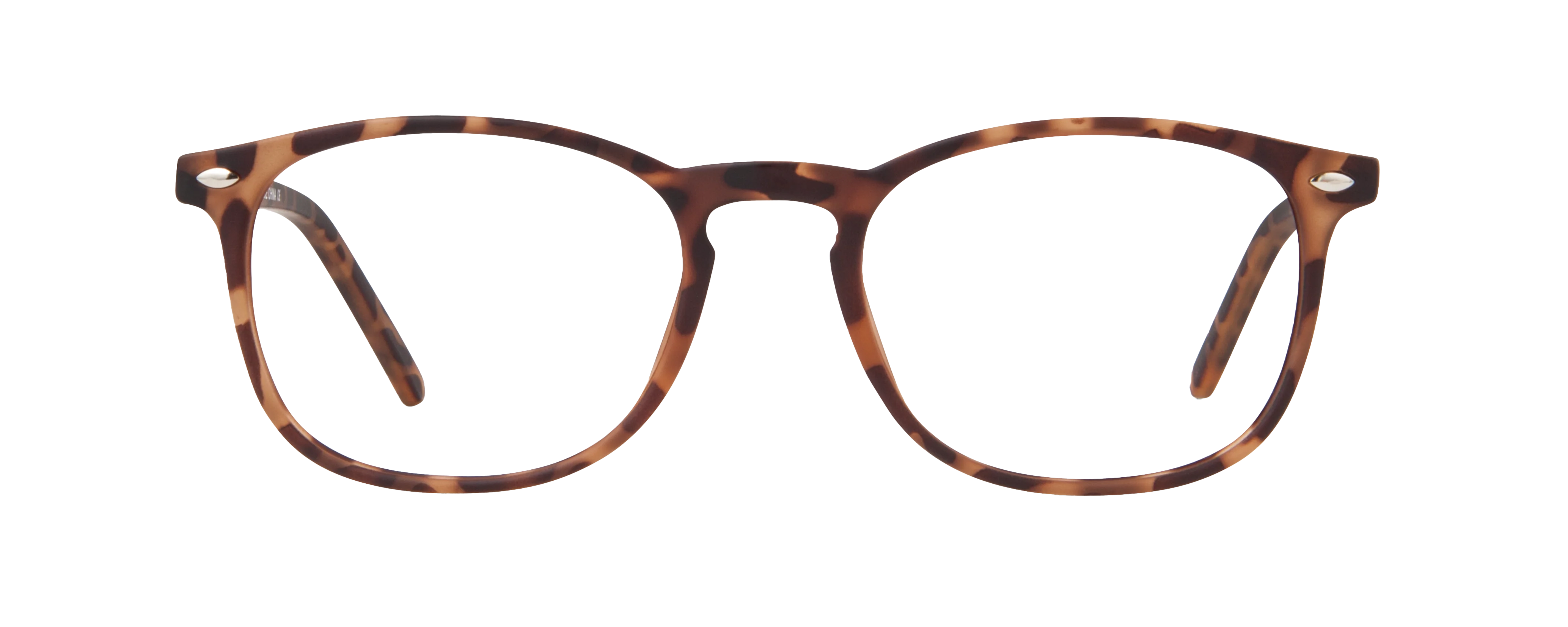 SS 97 - Image 7